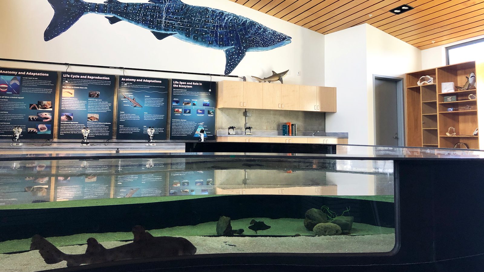 Marine Education Center