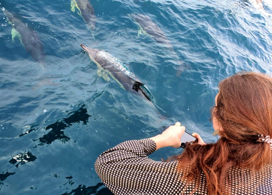 Your experience at Panama City Beach Dolphin Cruise