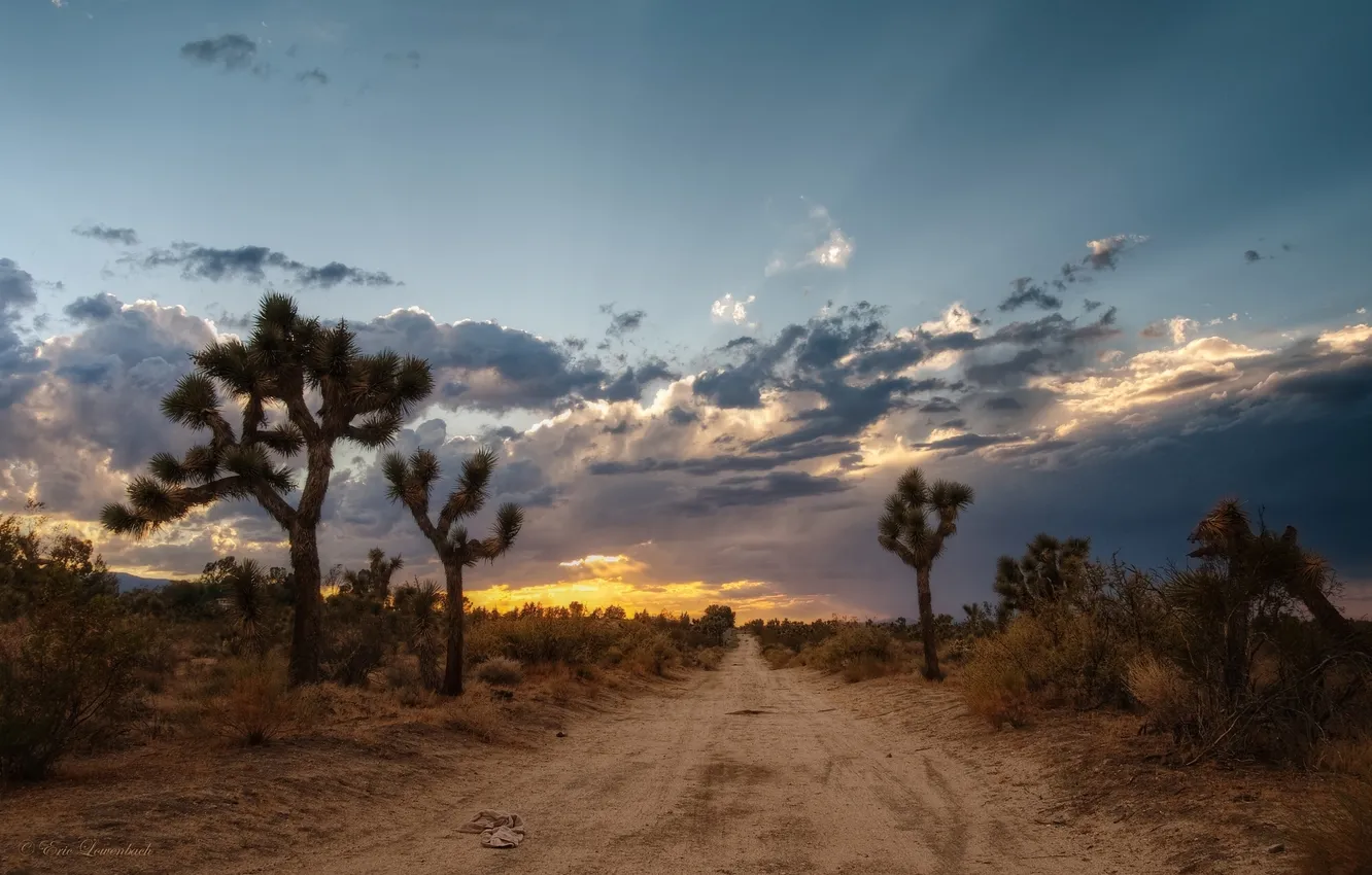 Route through Mojave Desert