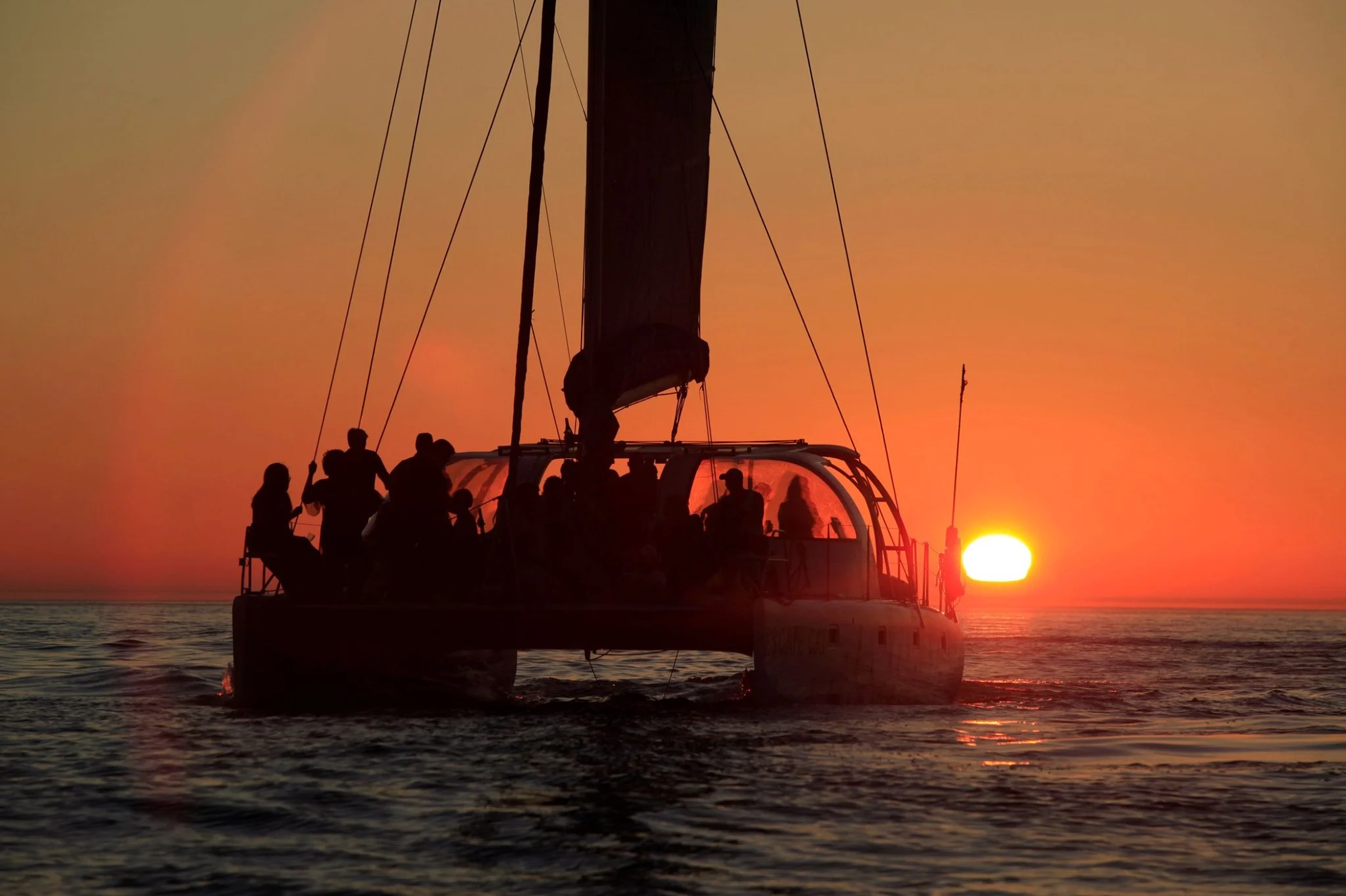 Your experience at Sunset Catamaran Cruise Cape Town
