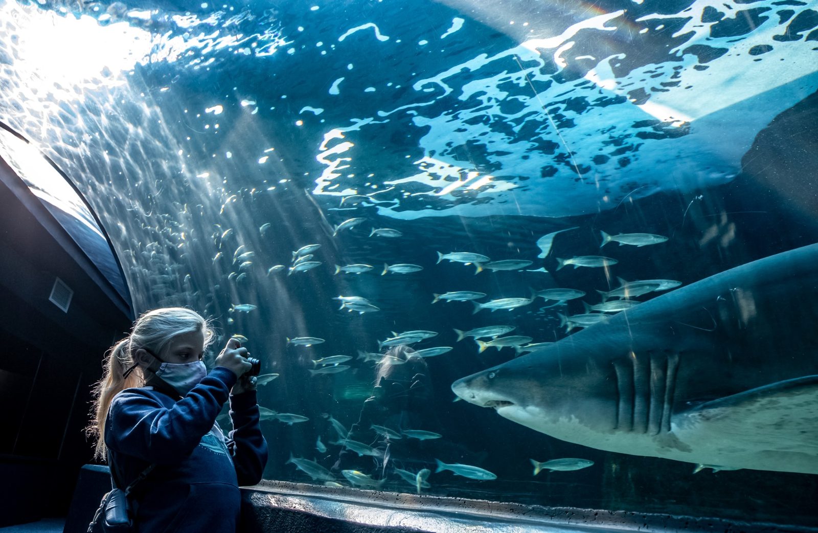 Two Oceans Aquarium