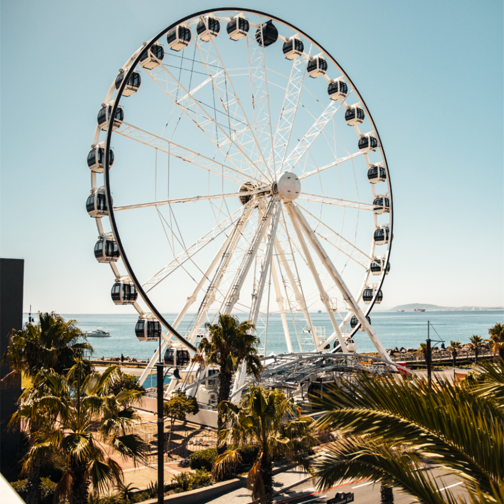 Cape Wheel
