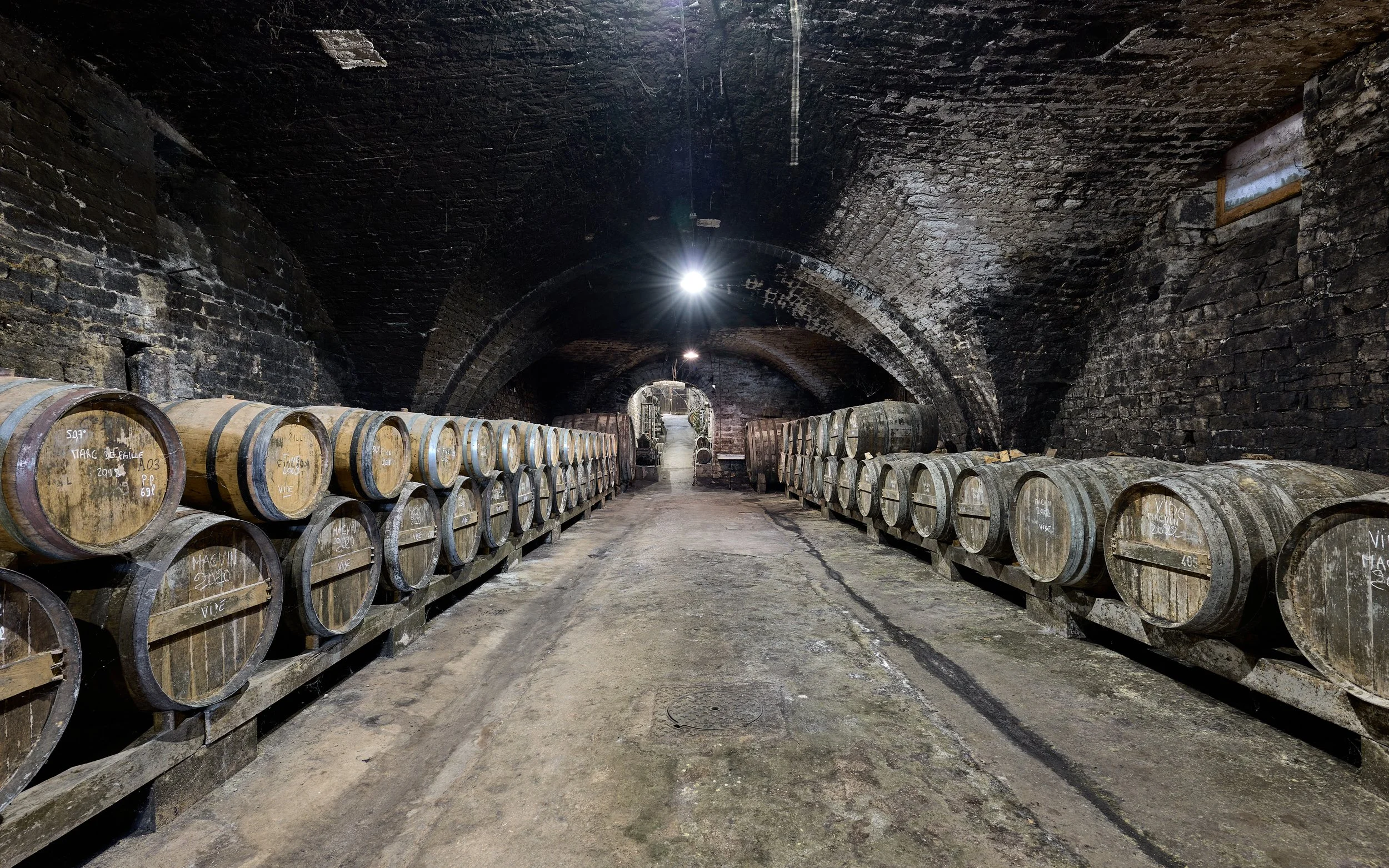 Wine Tasting in Milan Experience