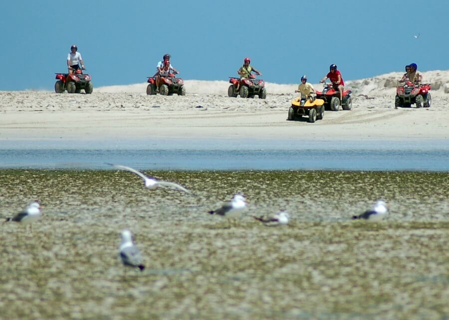 Djerba Quad Tour