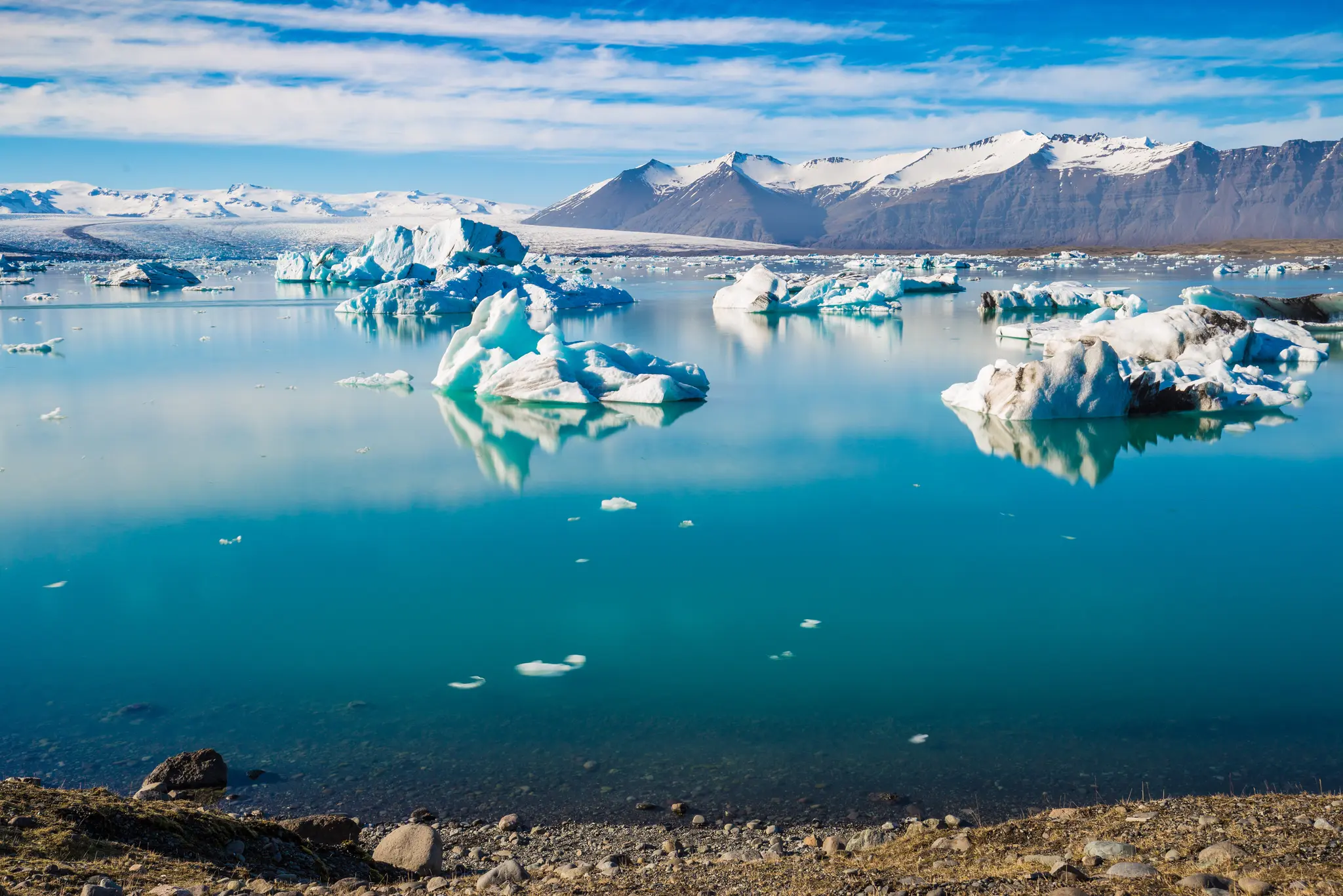 The Iceberg Fields