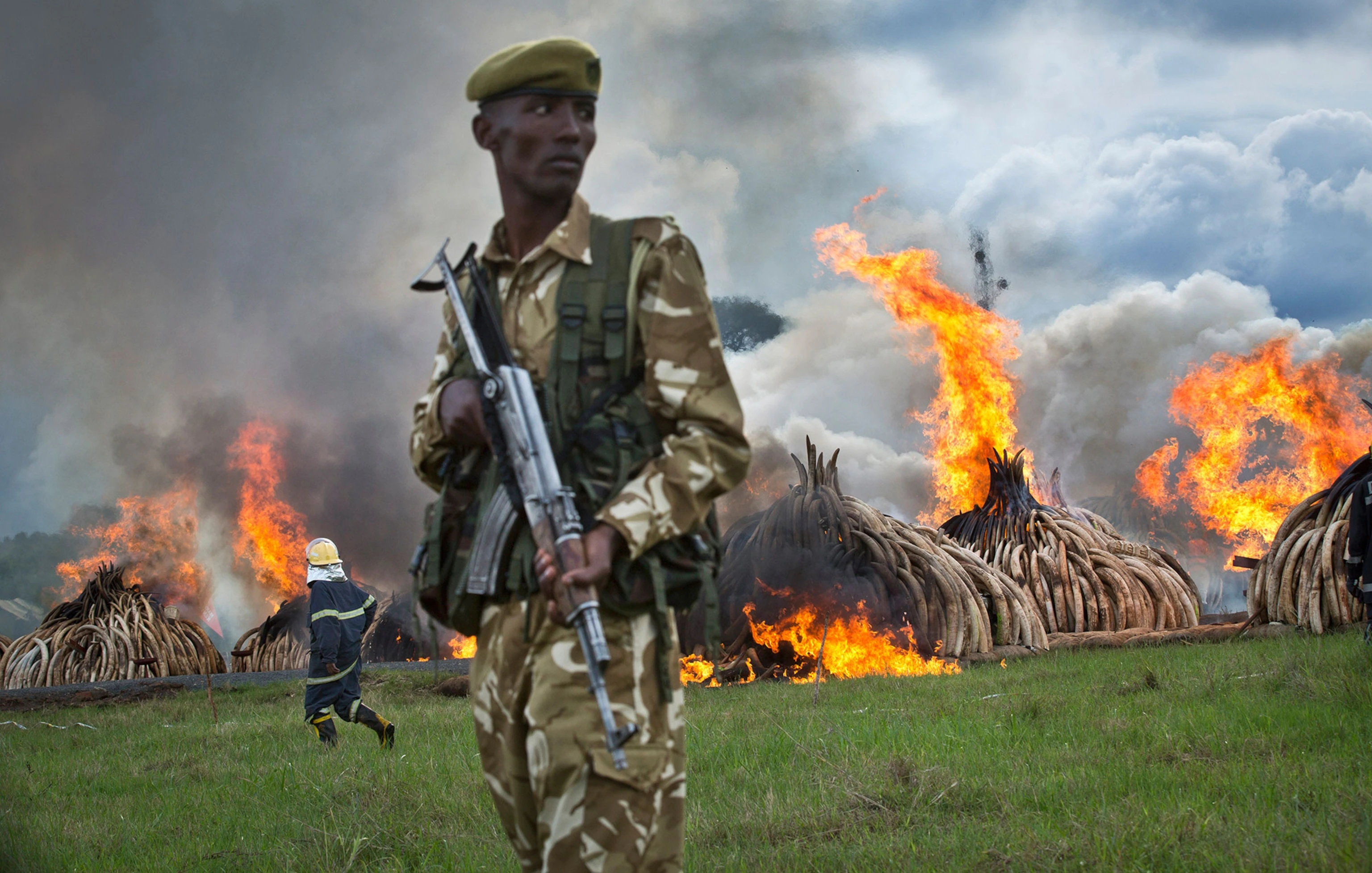 Ivory Burning Site