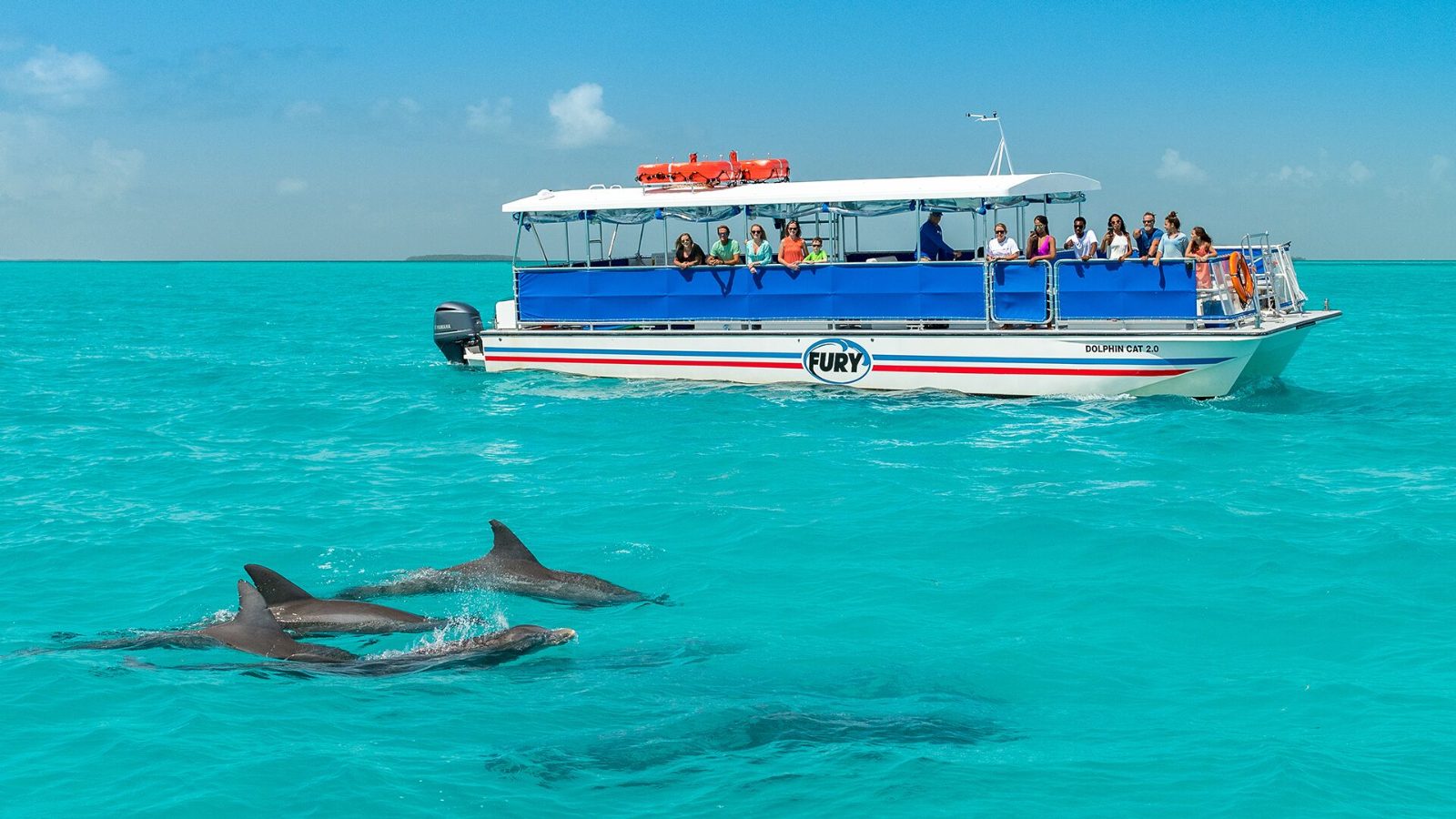 Your experience at Key West Dolphin Tour