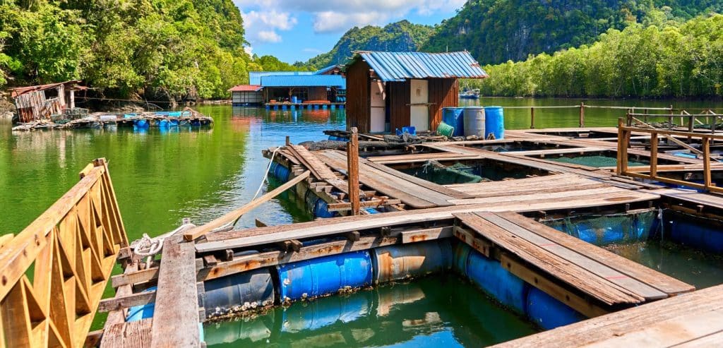 Floating Fish Farm