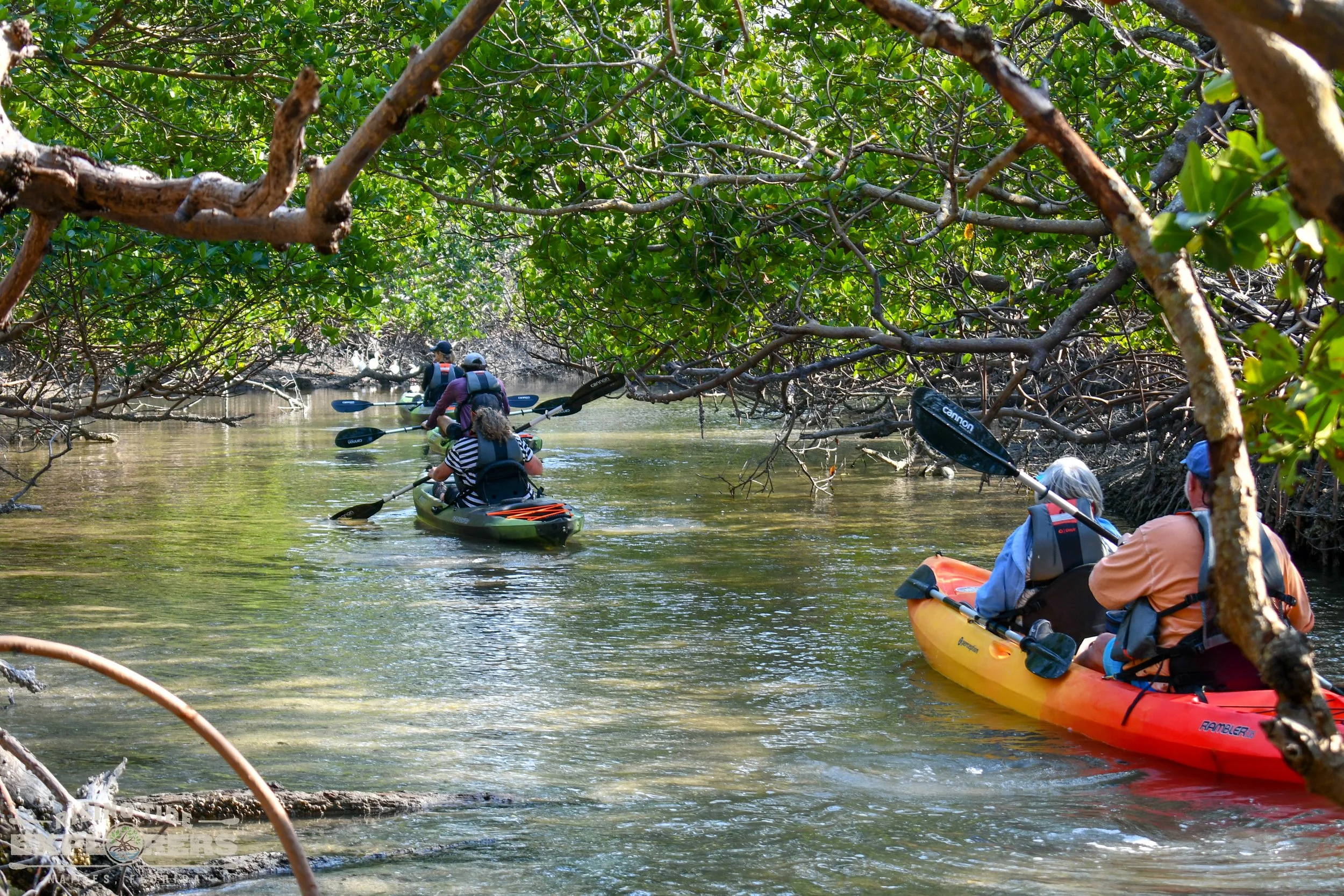 Your experience at Kilim Geoforest Park Kayak Tour