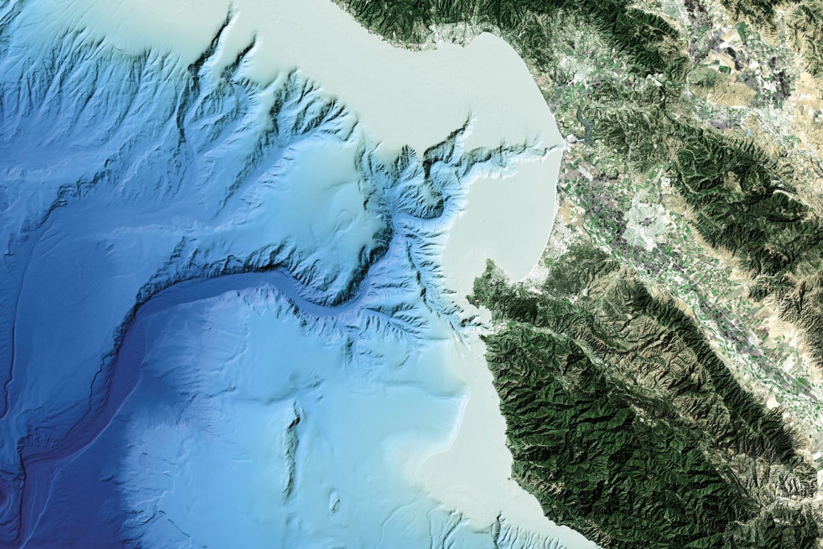 Monterey Bay Whale Watching Overview
