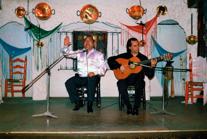 Flamenco Show Torremolinos Experience