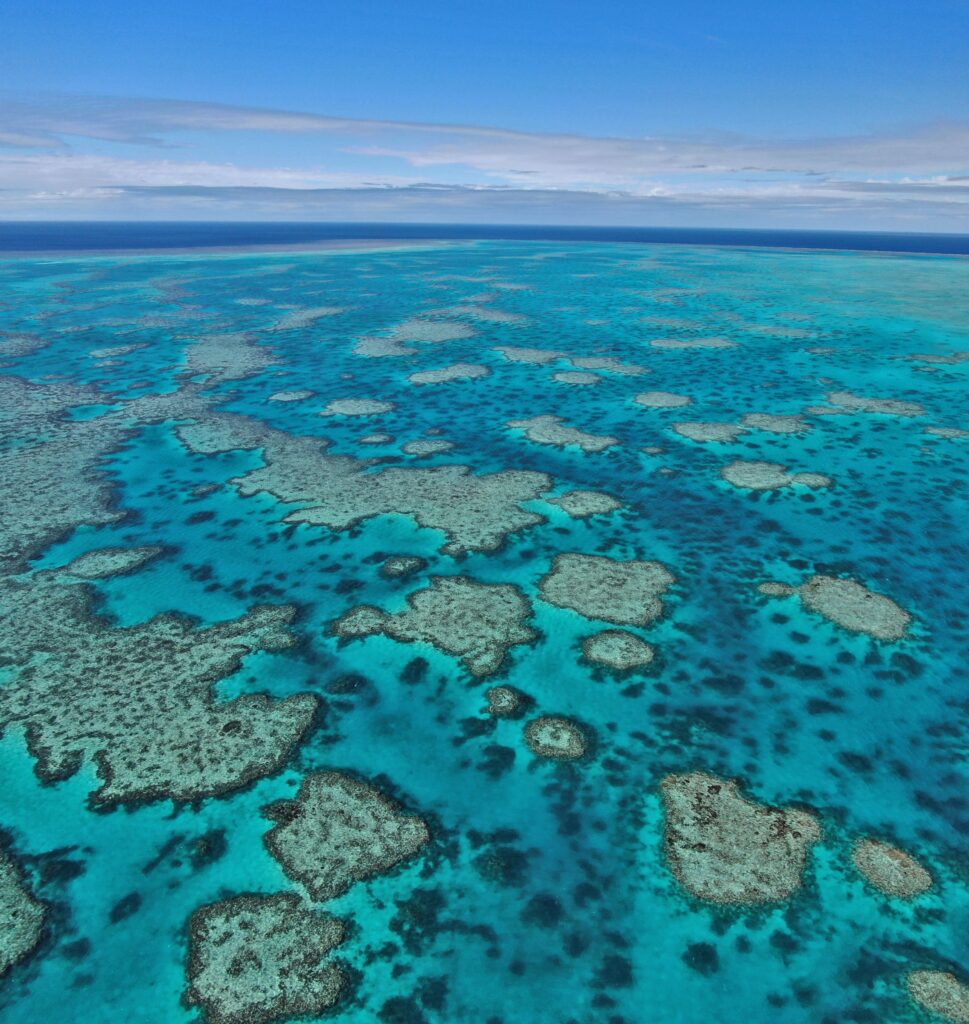 Protected Coral Reef