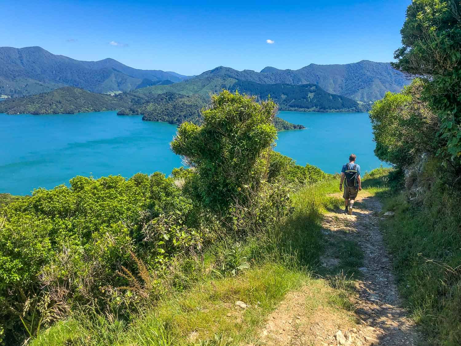 Queen Charlotte Track Self Guided Walk