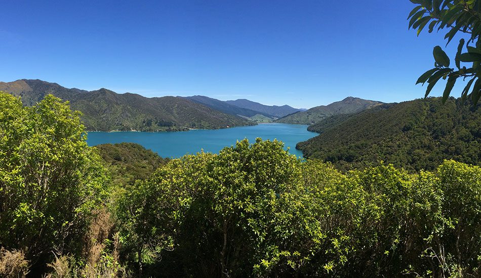 Anakiwa Bay