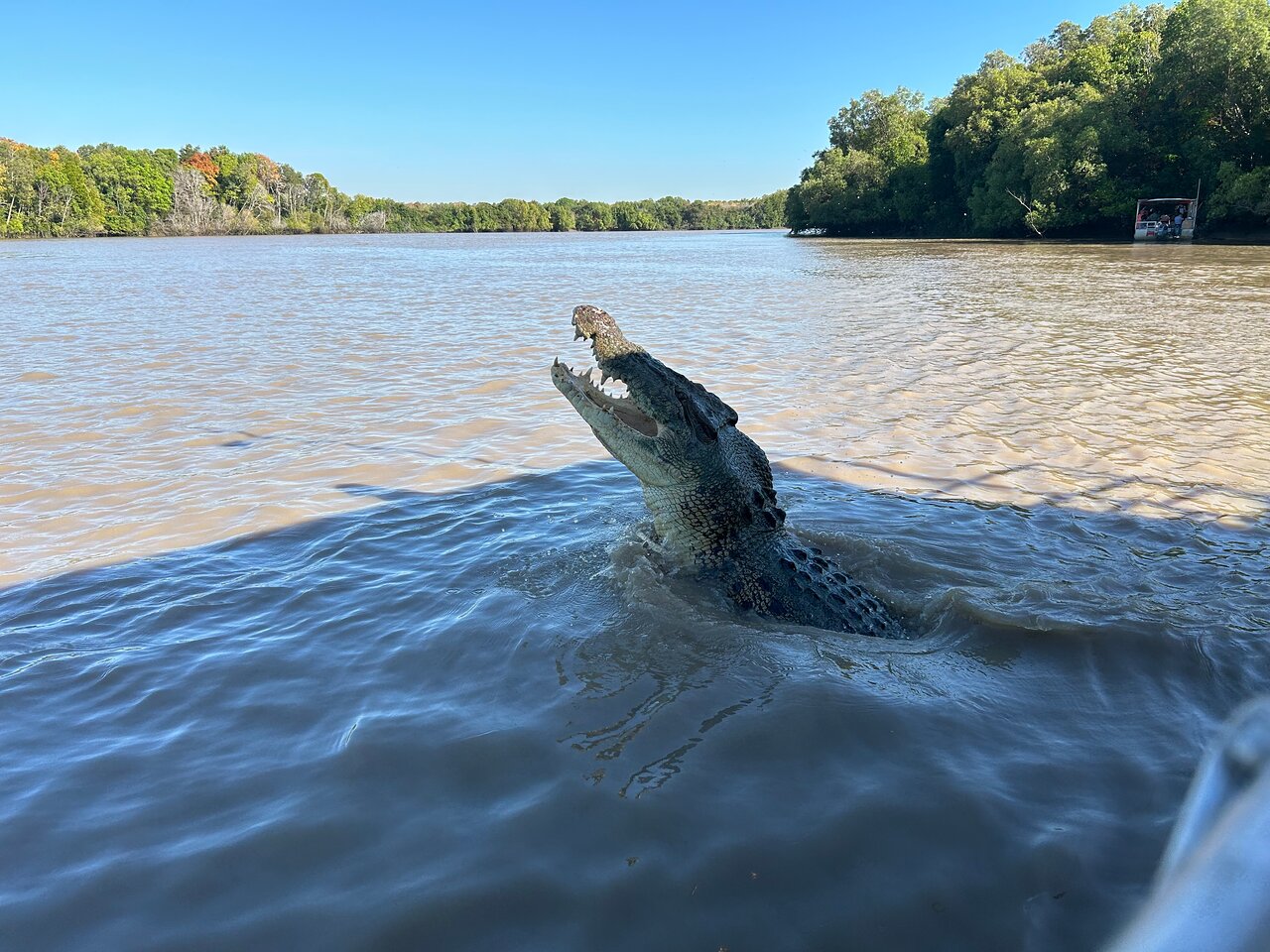 Jumping Crocodile Cruise From Darwin