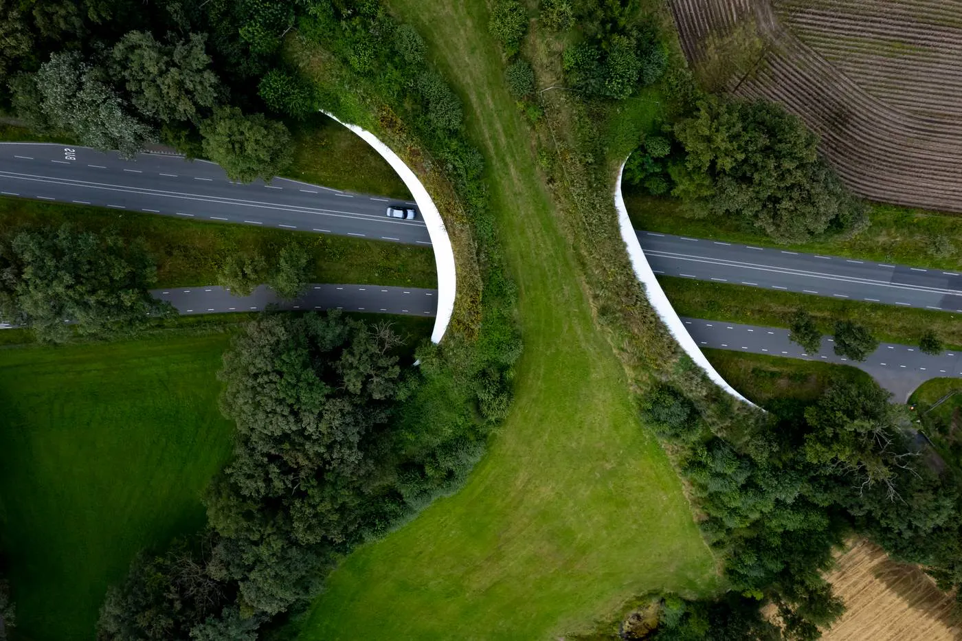 Biological Corridor