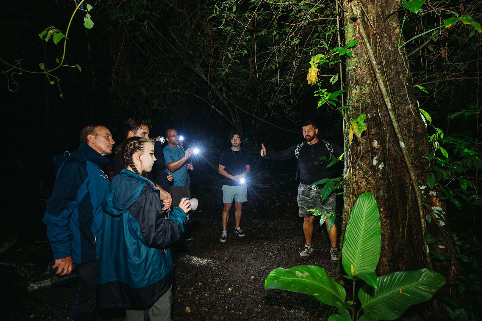 Night Tour Manuel Antonio