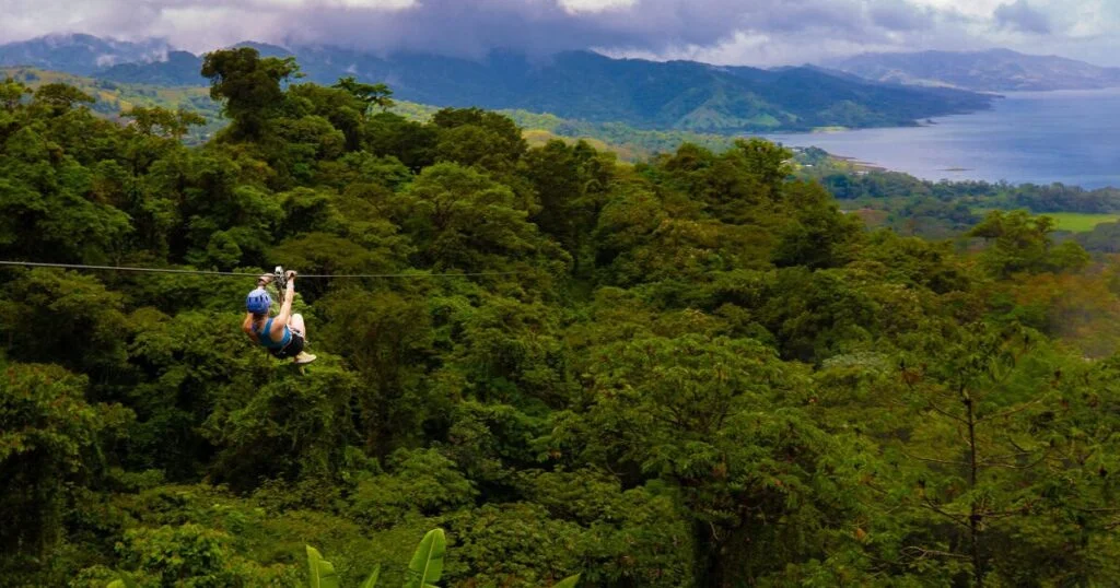 Night Tour Manuel Antonio Wildlife Experience