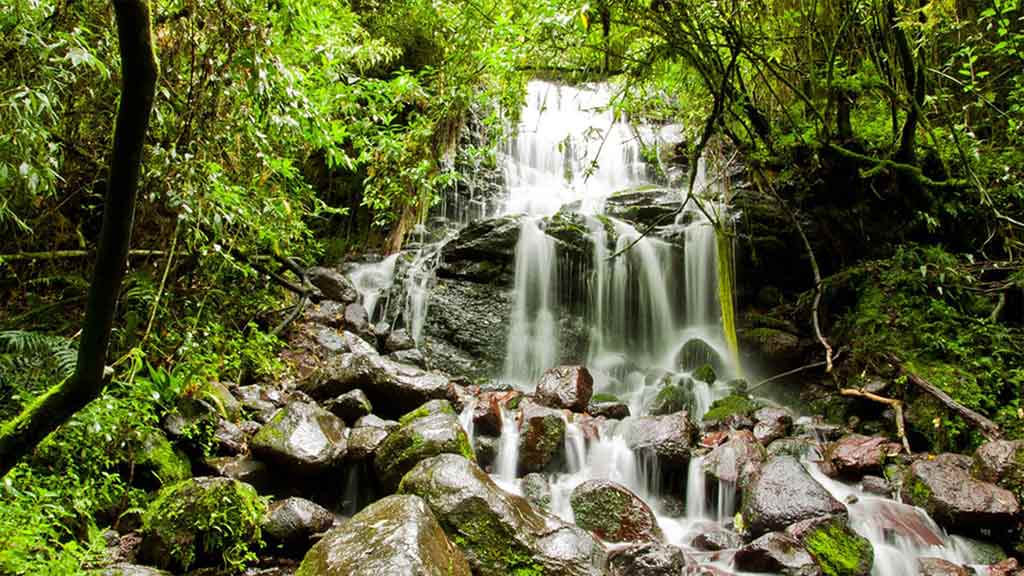 Your experience at La Leona Waterfall Hike