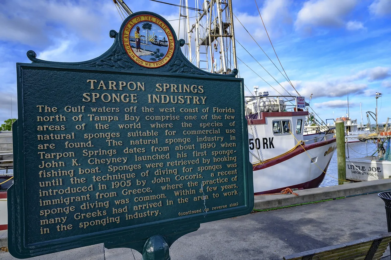 Tarpon Springs Dolphin Cruise Experience