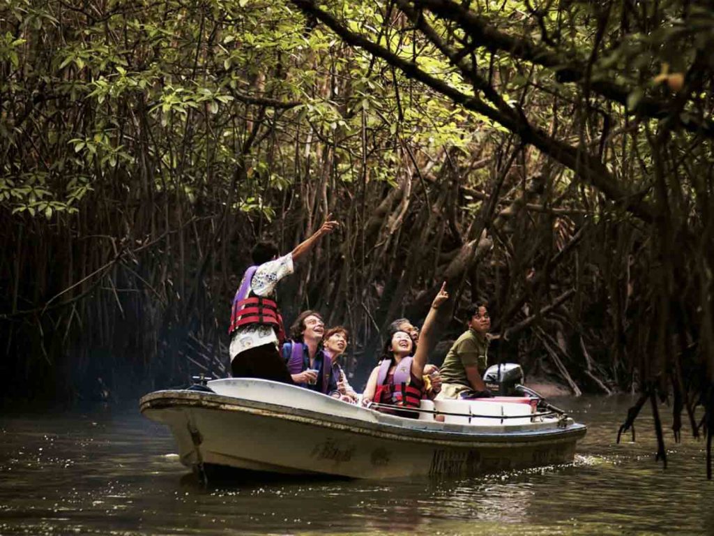Your experience at Muthurajawela Boat Tour