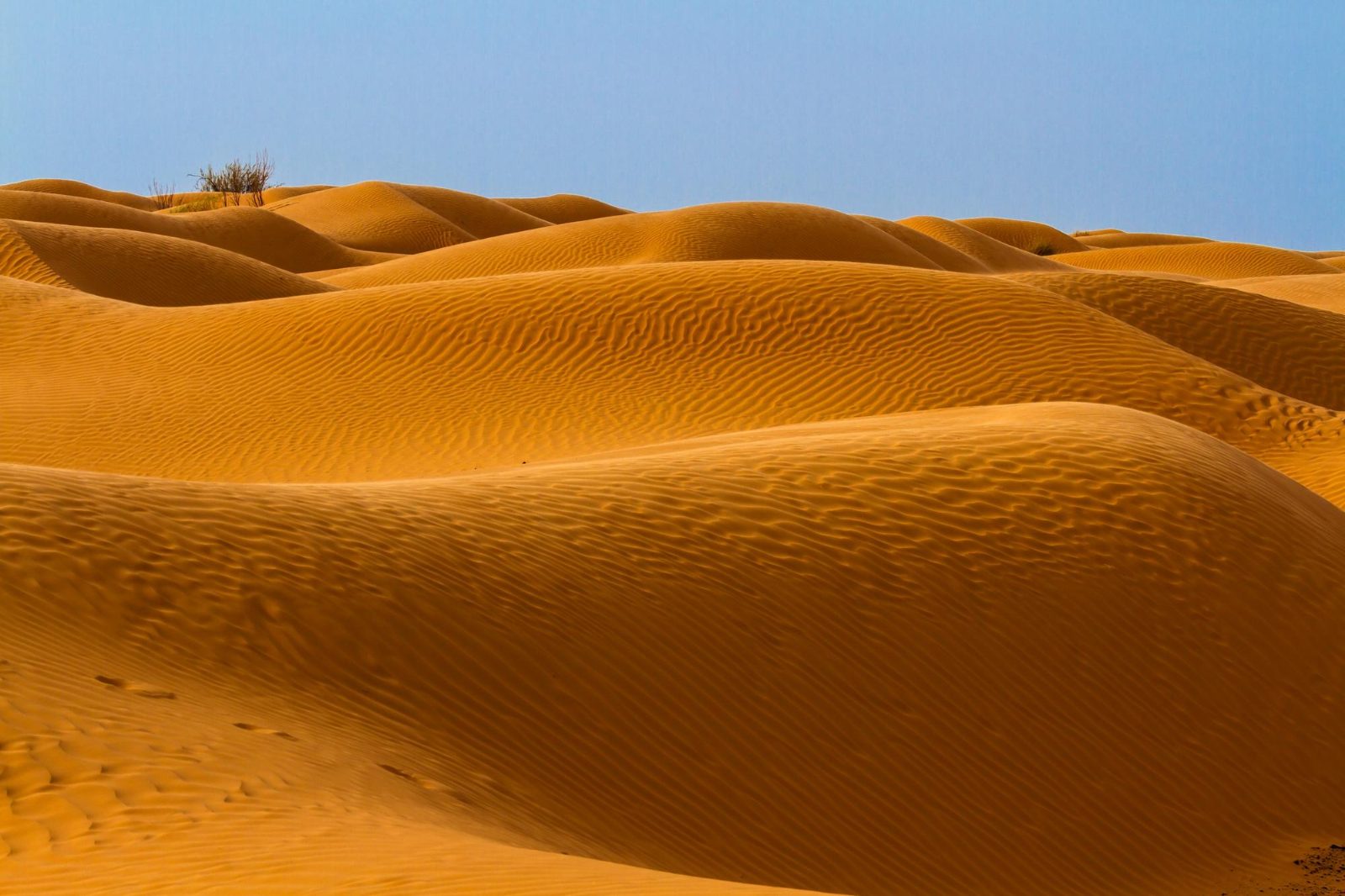 Experience a 2 Day Desert Tour Tunisia