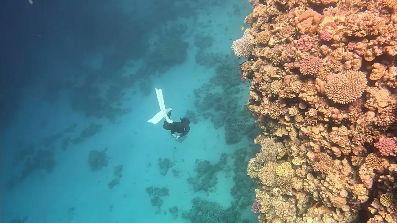 Lighthouse Reef