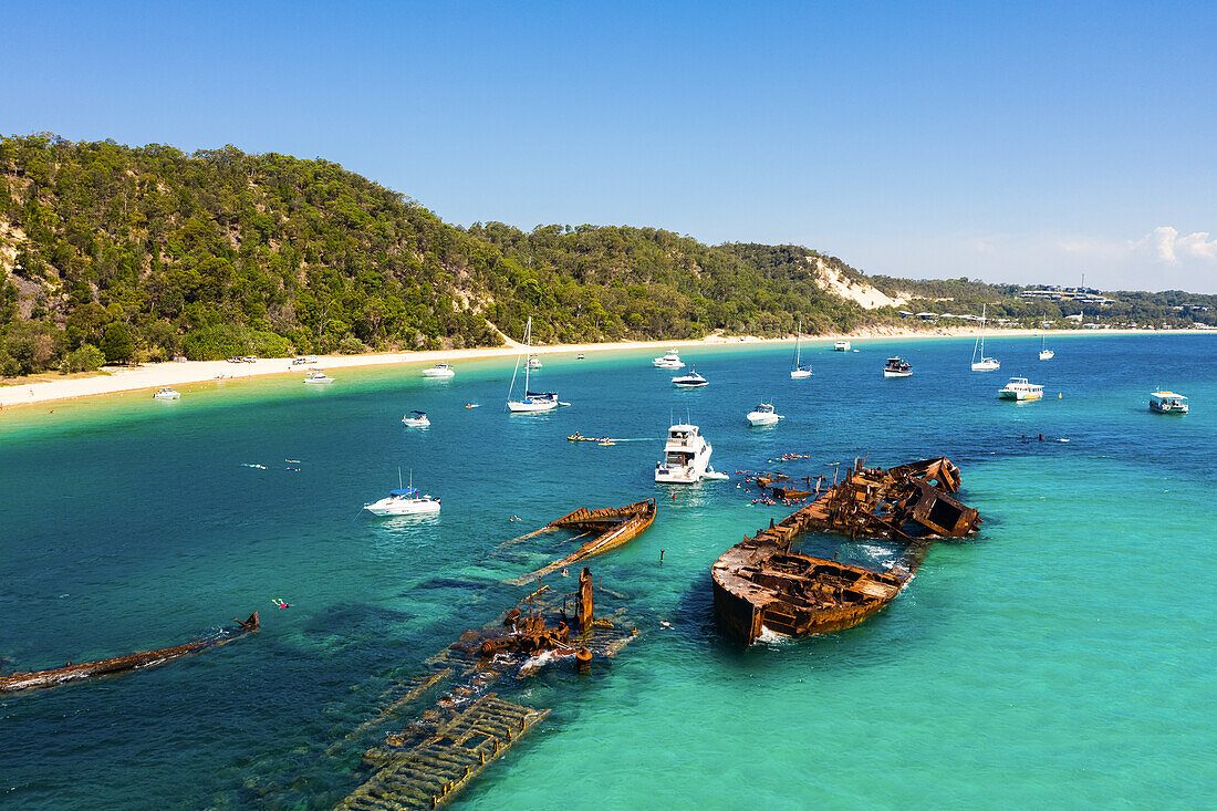 Day Trip to Tangalooma Island Resort