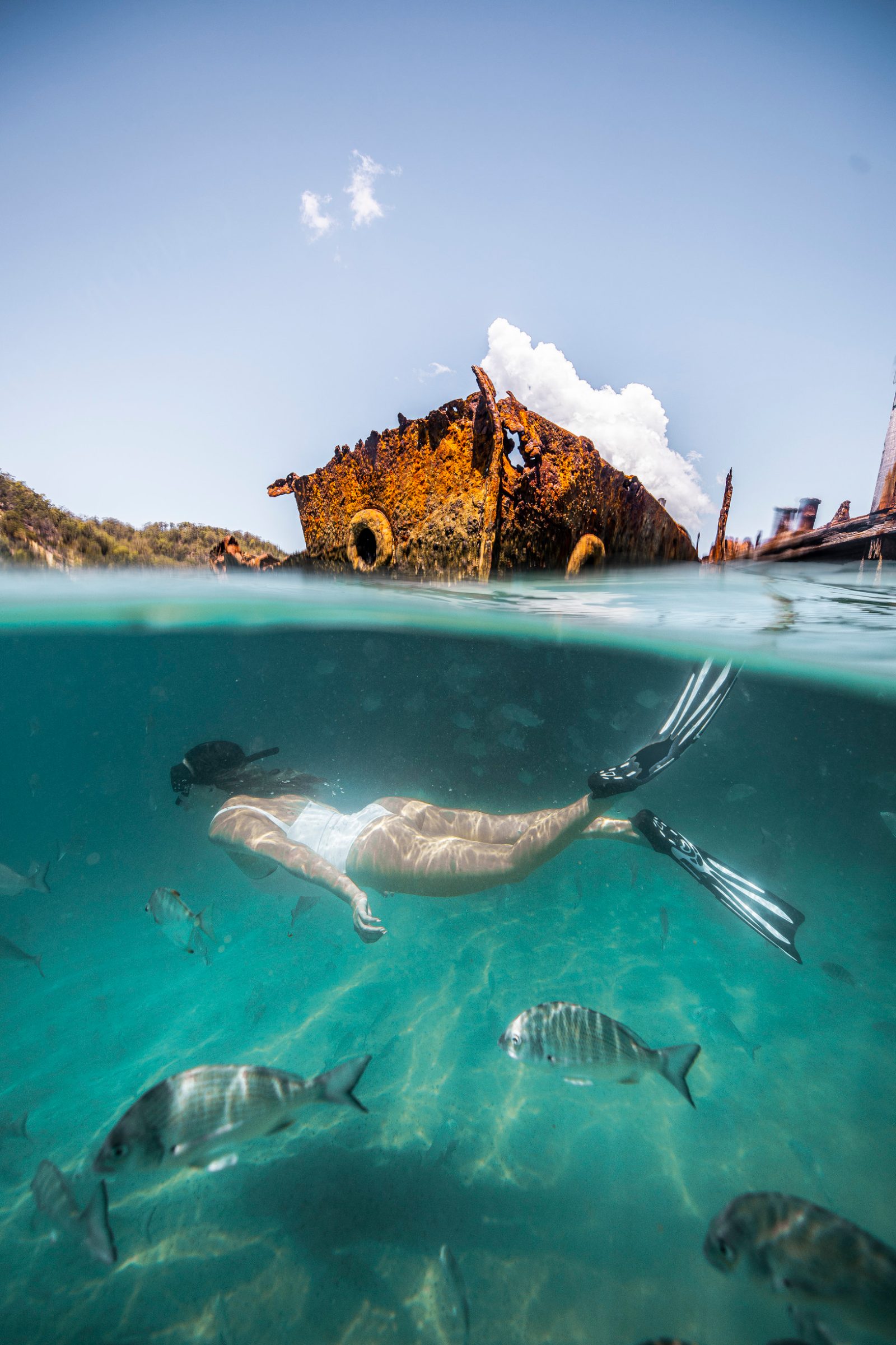 Tangalooma Wrecks