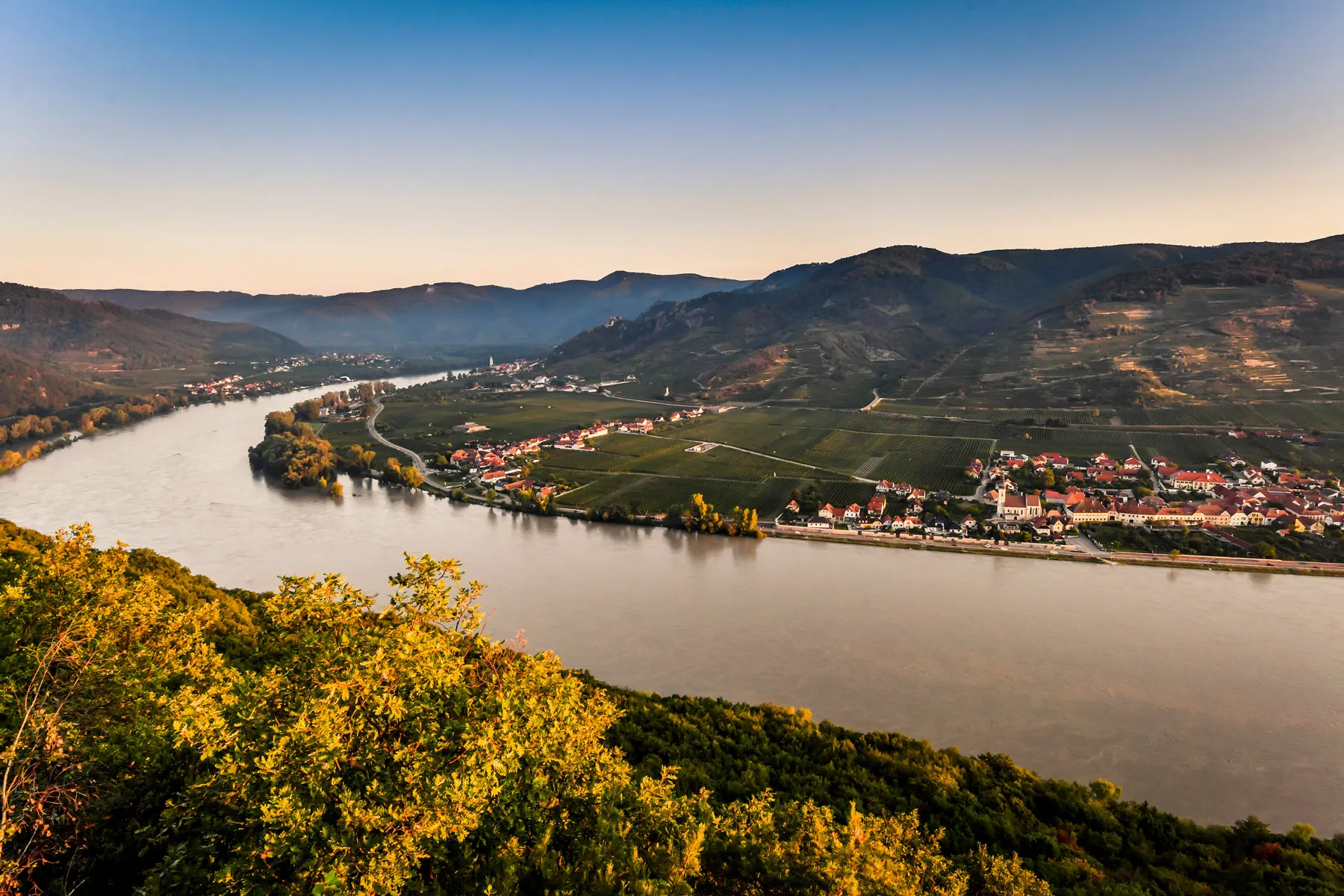 Ferdinand Viewpoint