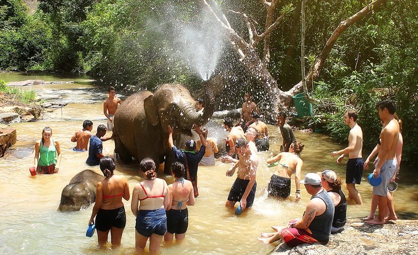 Your experience at Wildlife Rescue Center Hua Hin Tour