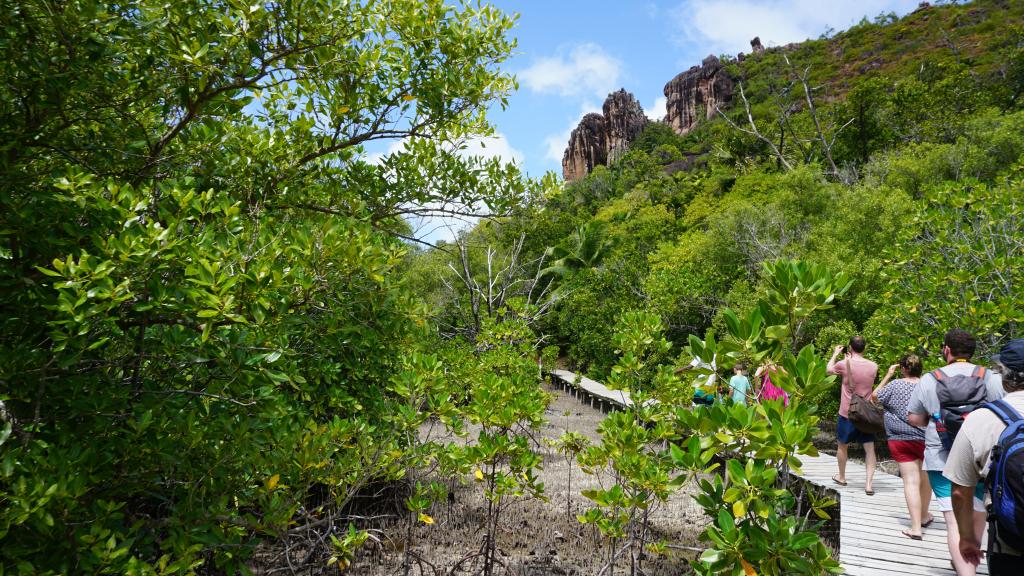 Mangrove Boardwalk