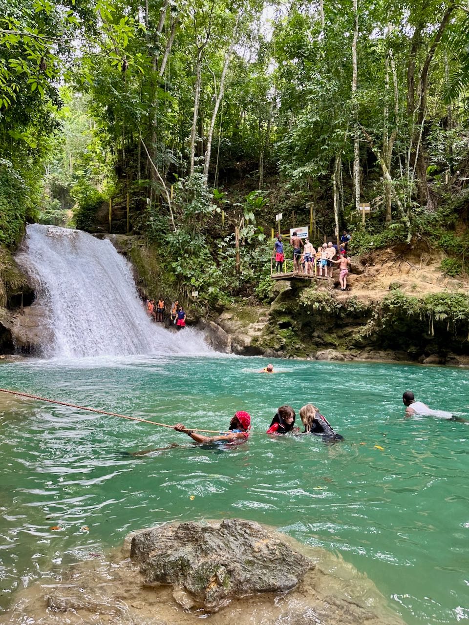 Your experience at Blue Hole and Dunn's River Falls Tour