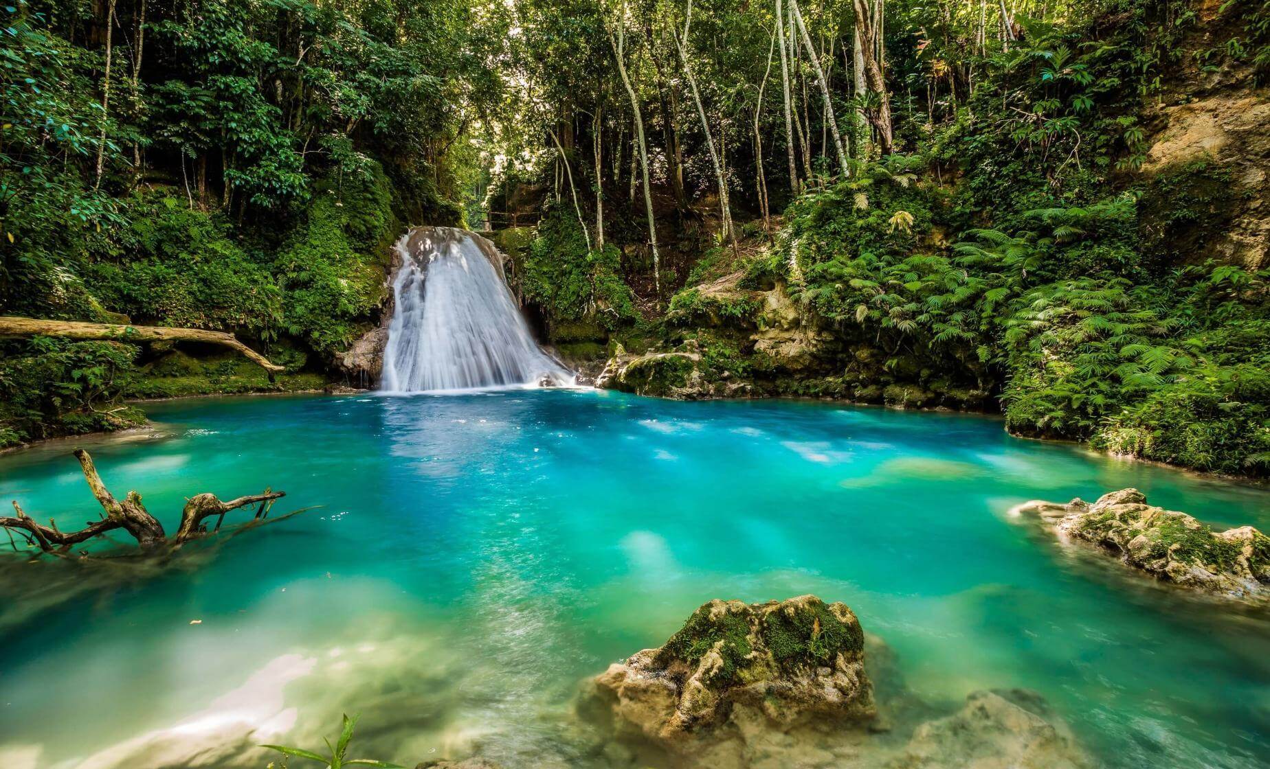Blue Hole and Dunn's River Falls Tour