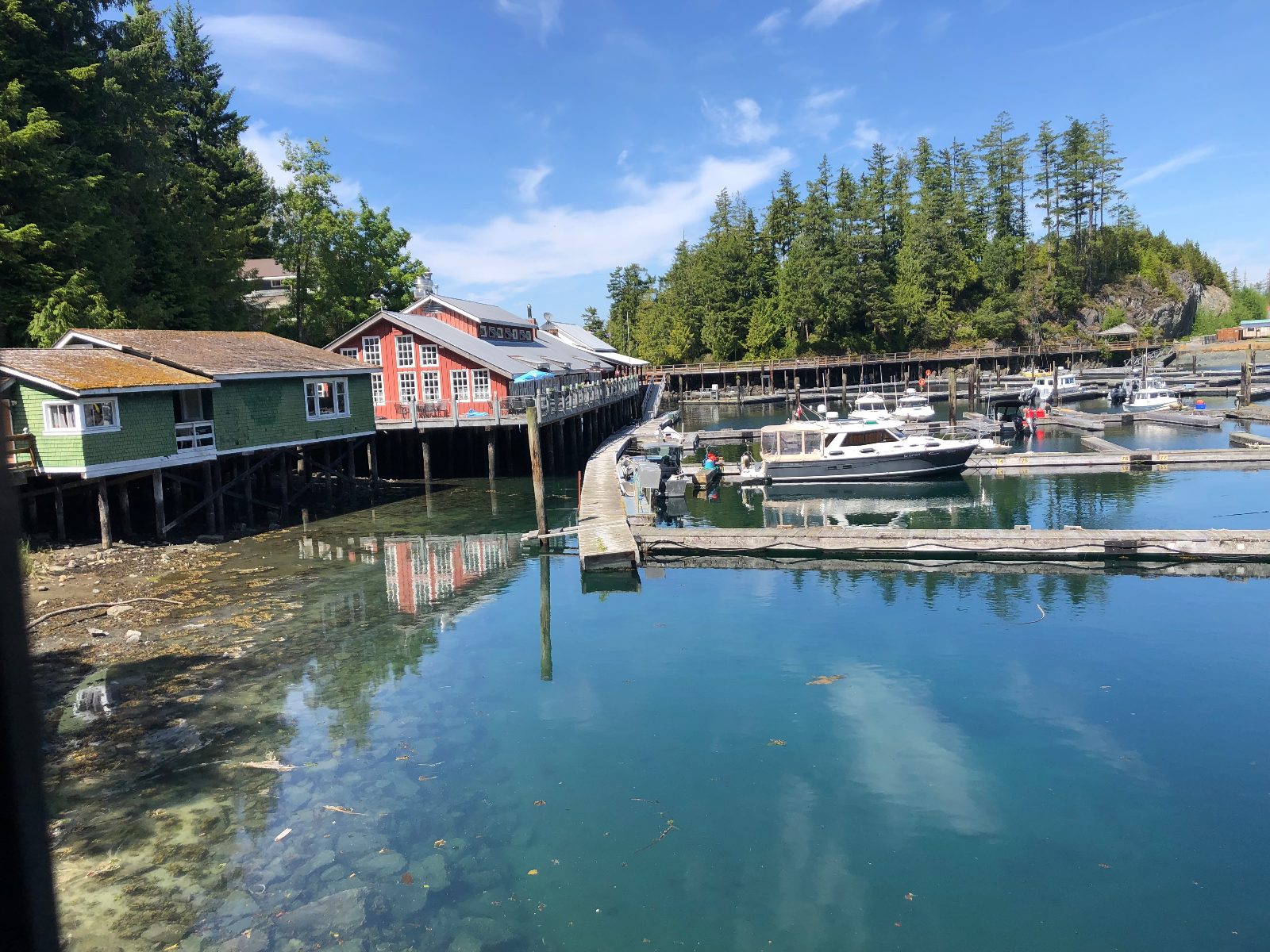 Telegraph Cove Whale Watching Overview