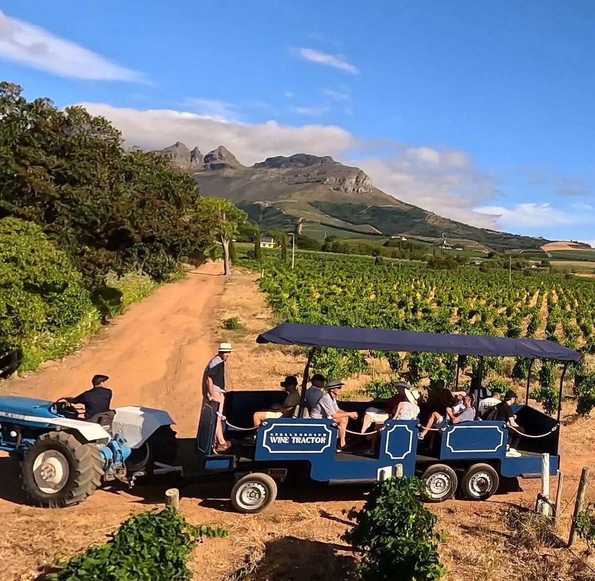 Hop On Hop Off Stellenbosch Wine Tour