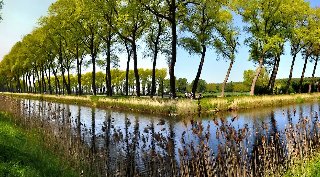 Damme Bike Tour from Bruges