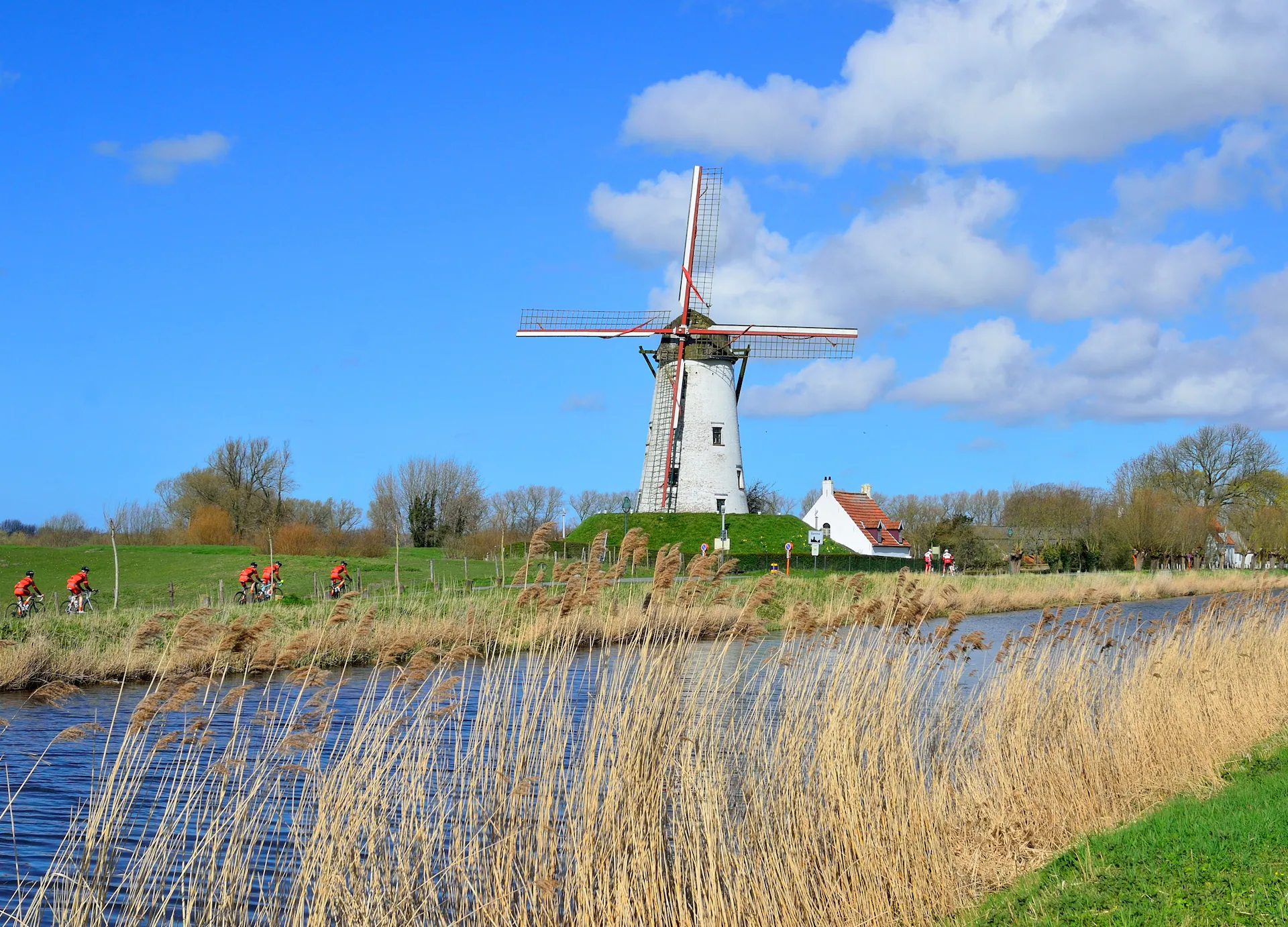 Your experience at Damme Bike Tour