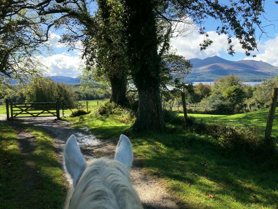 Killarney Riding Stables