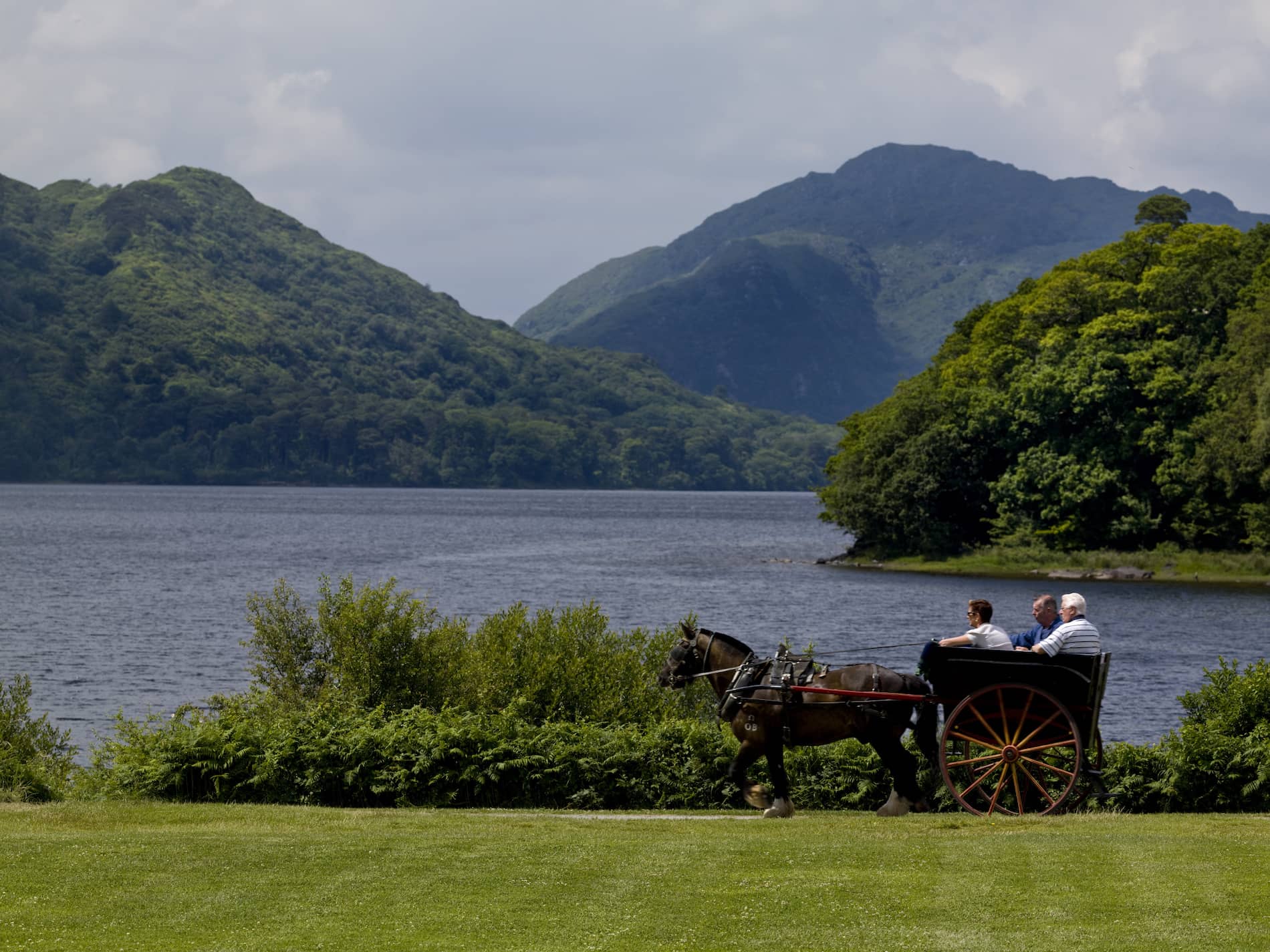 Lough Leane Shoreline