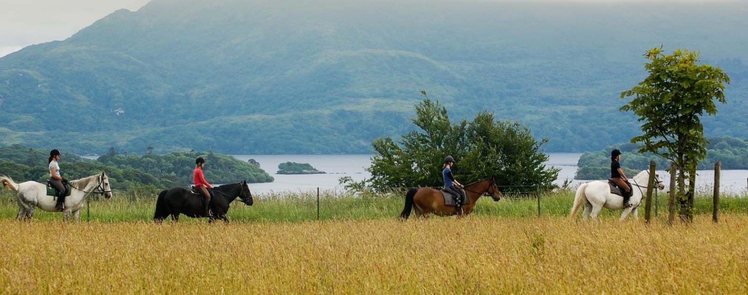 Horse Riding Killarney National Park