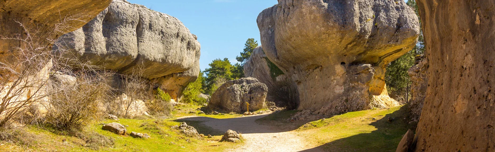 Your experience at Cuenca Day Trip From Madrid