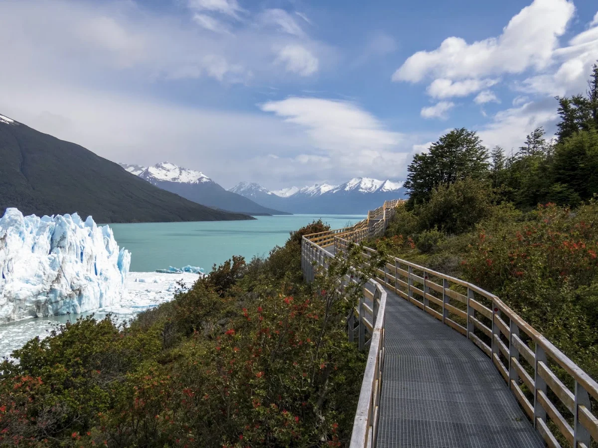 Glacier Boardwalks