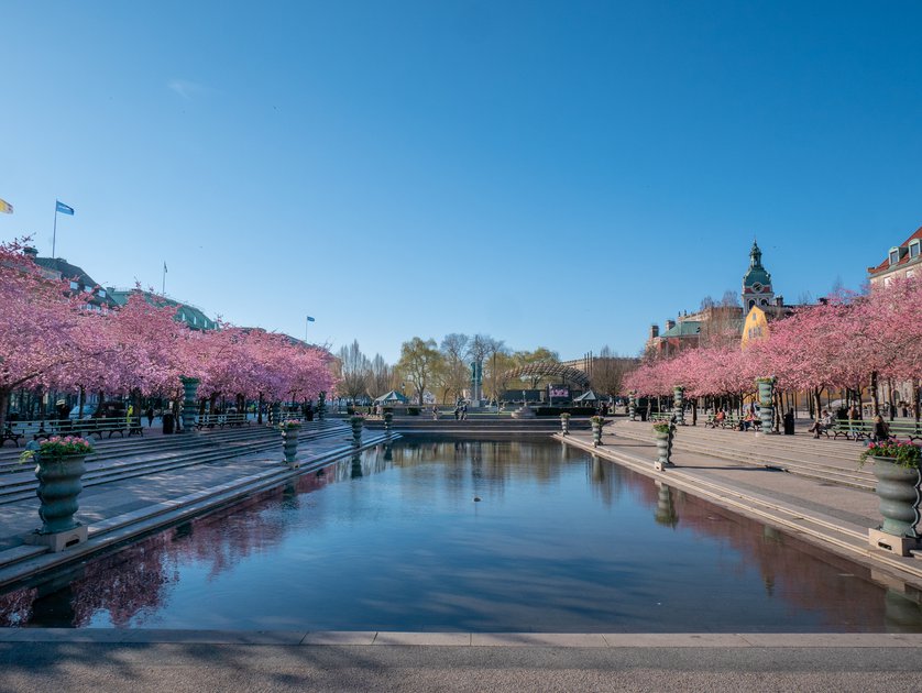 Kungsträdgården