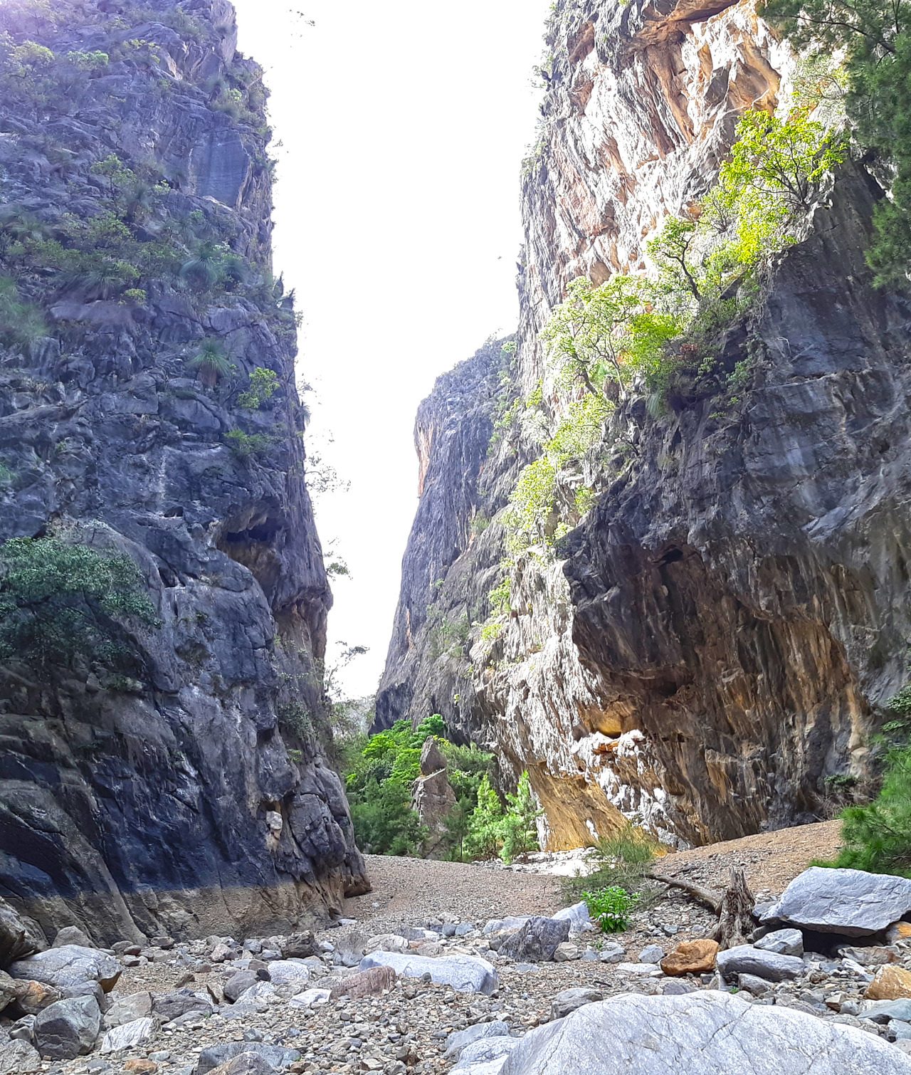 Limestone Canyon Walls