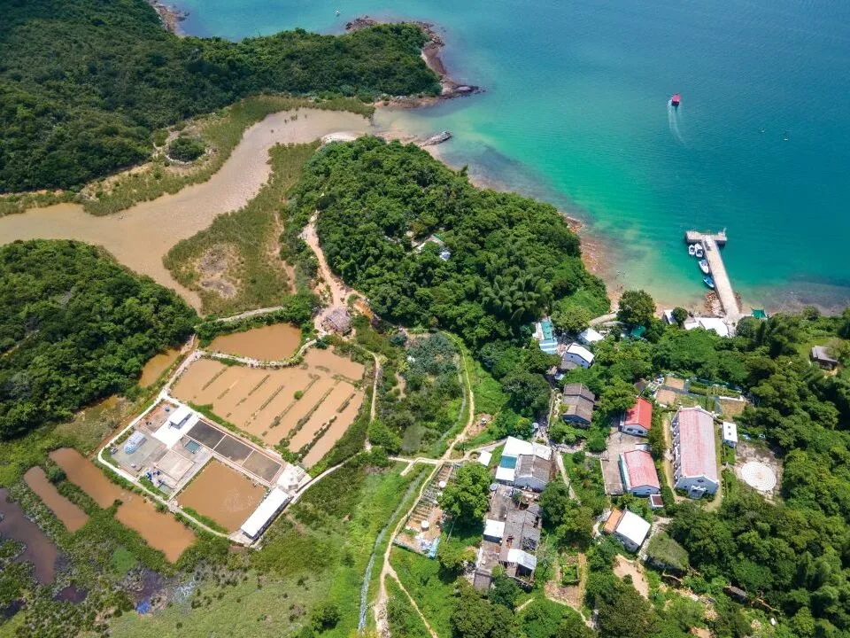 Yim Tin Salt Pans