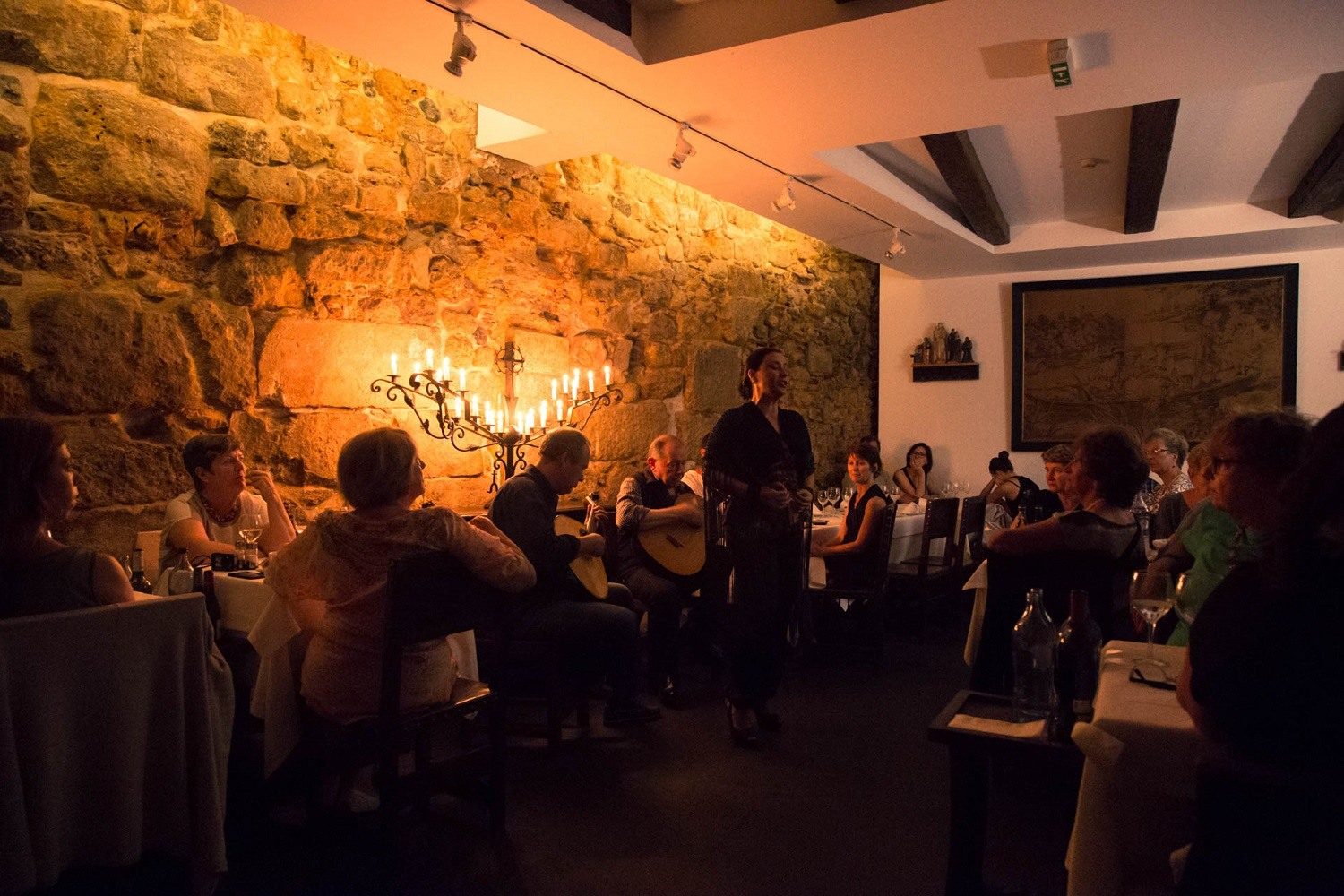 Your experience at Fado Show With Port Wine Porto