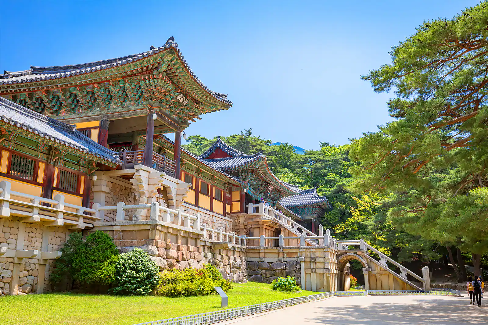 Your experience at Busan to Gyeongju Day Trip