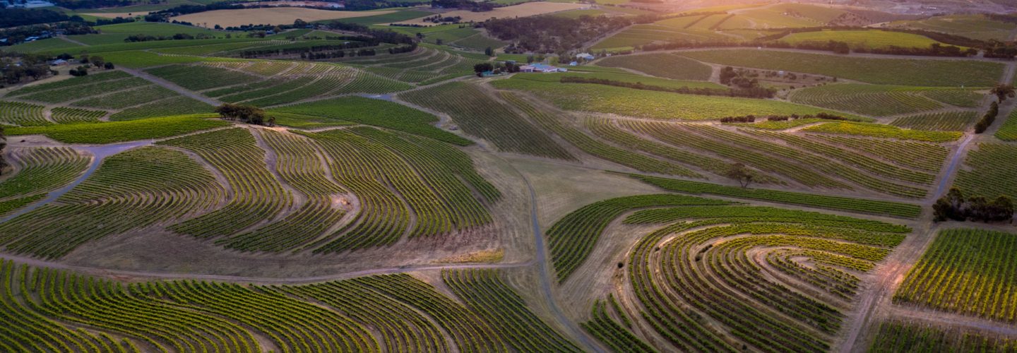 McLaren Vale Wine Tours from Adelaide Overview