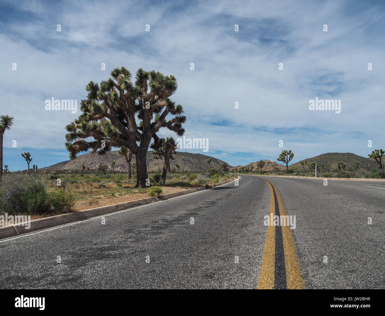 Step 1: Pick-up and Drive from Las Vegas